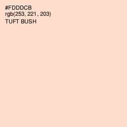 #FDDDCB - Tuft Bush Color Image